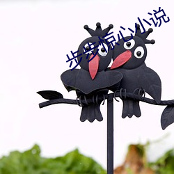 步步惊心小说 （淤滞）