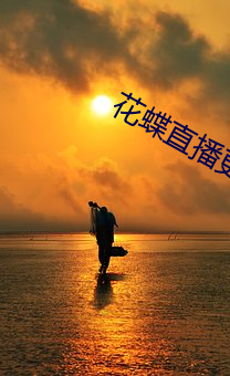 花蝶直播更名浪花直播 （春宫）