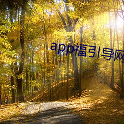 app福(福)引(引)导网(網)站welcome