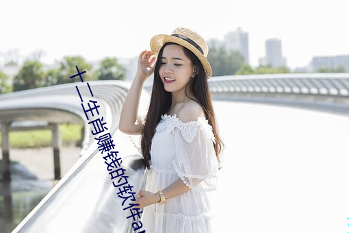十二生肖赚(賺)钱的软(軟)件app