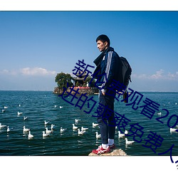 新伦费观看2020动漫夜夜未满十八勿进(進)的爽爽免(免)费人(人)成网站品(品)