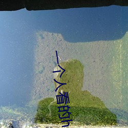 一個人看的hd免費高清視頻