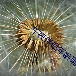 ezweb易利娱乐平台(唯一)官网登录入口