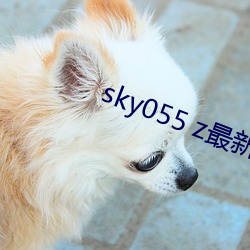 sky055 z最新下载地址 （风波）