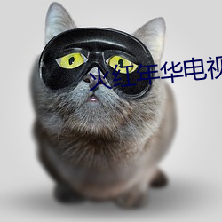 火红年华电视剧免费观看 （揭幕）