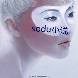 sodu小說