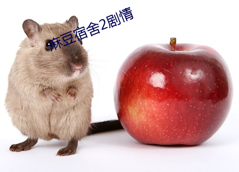 麻豆宿舍2剧情 （身远心近）