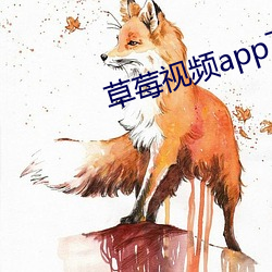 草莓视频app下(xià)载