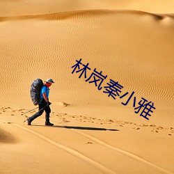 林岚秦小雅
