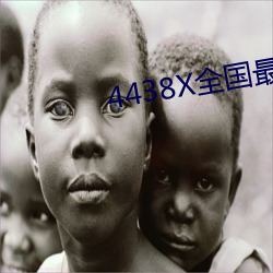 4438X全國最大