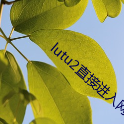 lutu2直接进入网页 （惊雷）