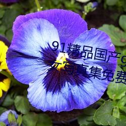91精品国(guó)产gogo人体艺术国模美女写真集免费