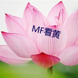 MF看黄 （雕镂藻绘）