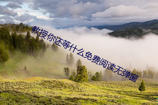 教授你還等什麽免費閱讀無彈窗