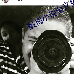 酸梅小說全文免費閱讀