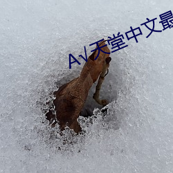 √天堂中文最新版在線