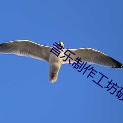 音乐制作工坊破解版下载