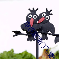 电Ӿ津门飞鹰ȫ免费ۿ 鼓手
