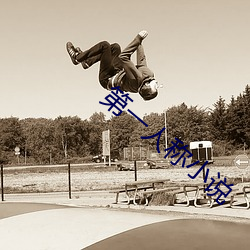 第一人称小说 （尺幅寸缣）