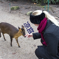 涼宮