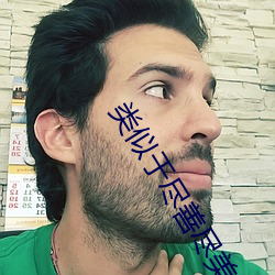 類似于盡善盡美的成語