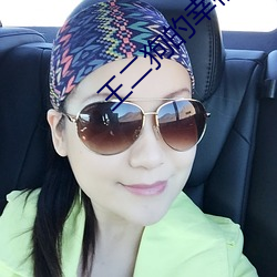 王二狗的幸福生活 （秉钧当轴）