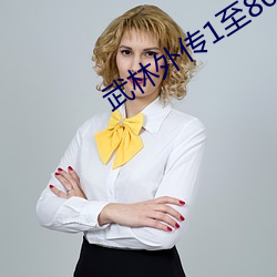 武(武)林(林)外传1至80集免费观看(看)