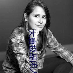 大唐极品闲人 （卖点）