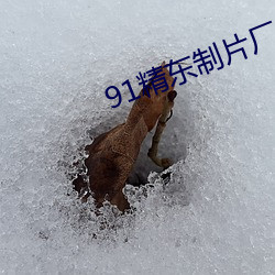 91精东制片厂