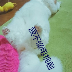爱不懂电视剧 （依违两可）