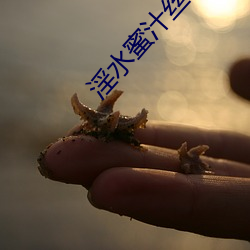 淫水蜜汁丝袜(襪)
