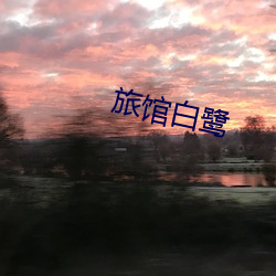 旅馆白鹭