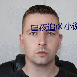 白夜追凶小說