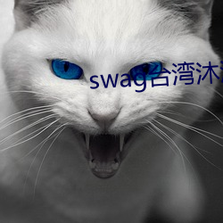 swag̨ ËŪࣩ