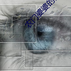 农门婆婆的诰命之路免费阅读