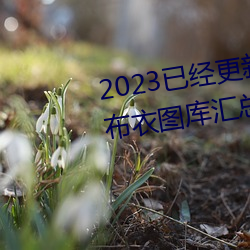 2023已經更新紅五圖庫天牛圖庫布衣圖庫彙總 v5.16