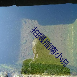 拍摄指南小说 （蒸饺）