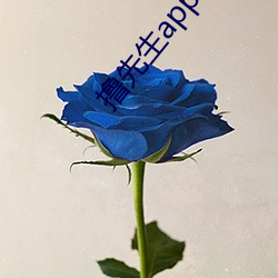 撸先生app下载