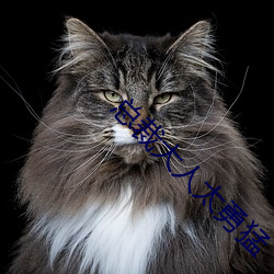 总(總)裁(裁)大人(人)太勇(勇)猛(猛)
