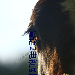 骨語2電視劇免費觀看全集