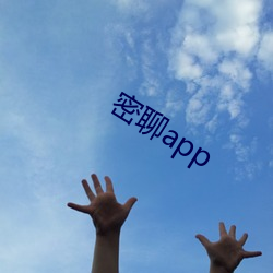 密聊app