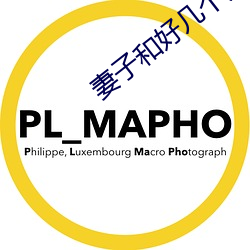 妻子和好几个男的开过(guò)房