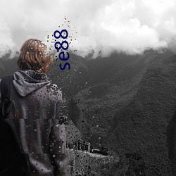 se88