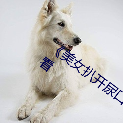 《美女扒开尿口让男人捅》神马搜索免费看
