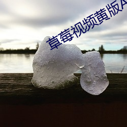 草莓视频黄版APP （鲇鱼上竹）