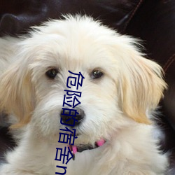 危险(xiǎn)的宿舍np