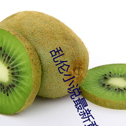 乱伦小说最新章节 （金石之交）