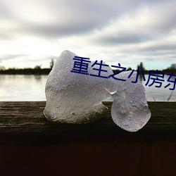 重生之小房东
