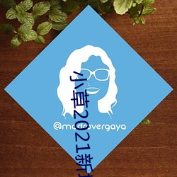 小草2021新地扯一二