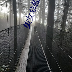美女(女)总(總)裁的贴身狂少